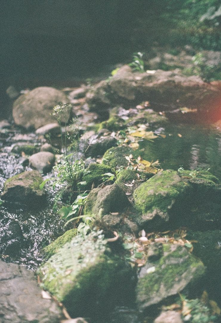 完動品 CONTAX RTS