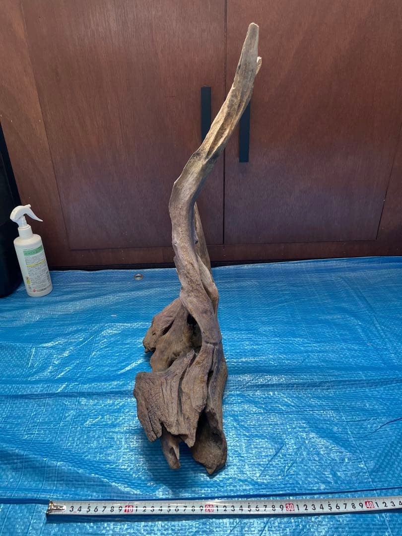 ADA ホーンウッド　特大