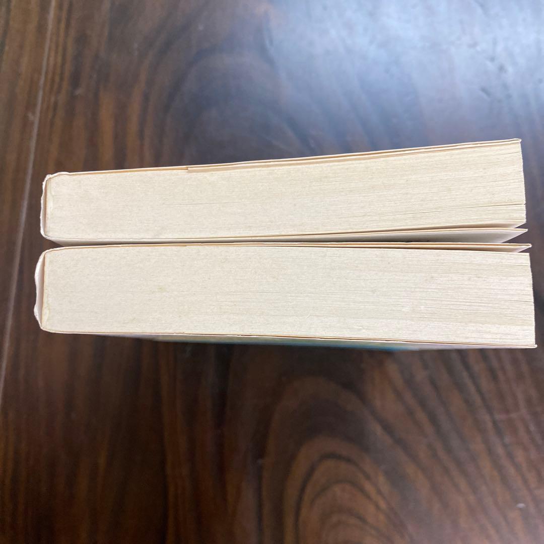 ゲーテ形態学論集 植物篇・動物編2冊セット