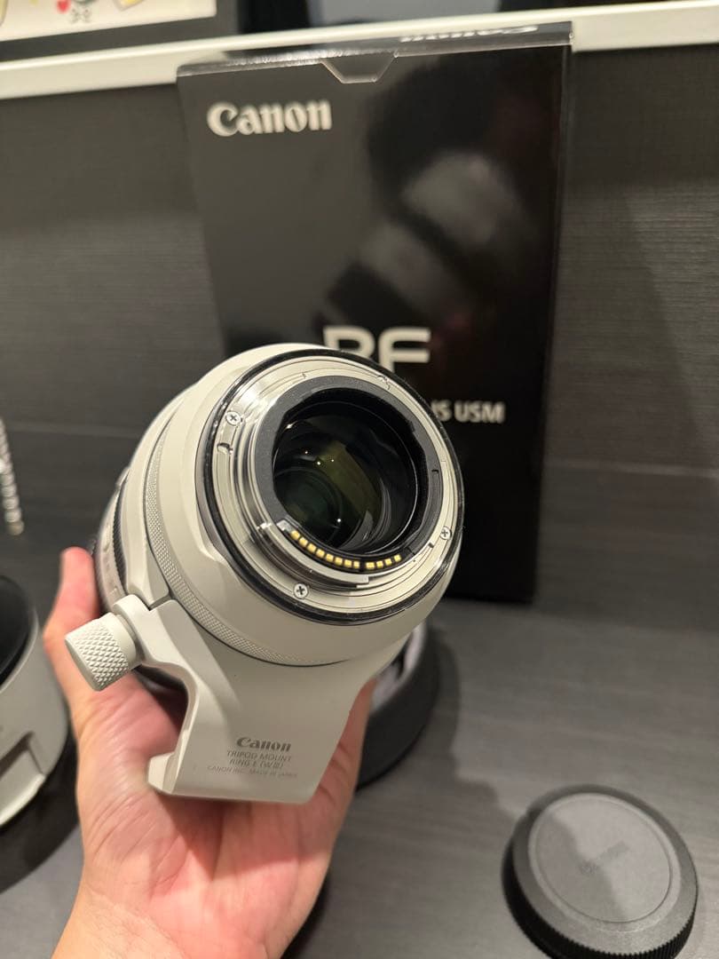 【極美品+各種レンズフィルター】Canon RF 70-200mm F2.8 L