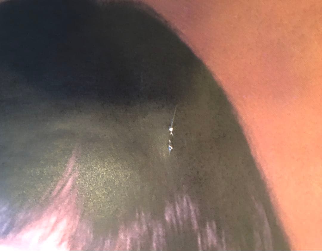 山口小夜子　1983年　資生堂ポスター　ビンテージ