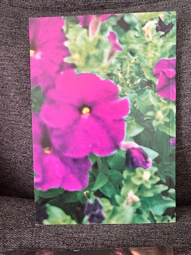 初版　HIROMIX girls blue 写真集