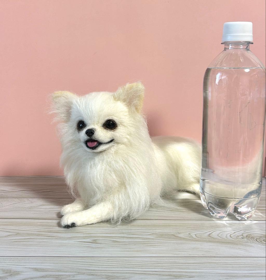 羊毛フェルト　伏せをする大きいチワワちゃん