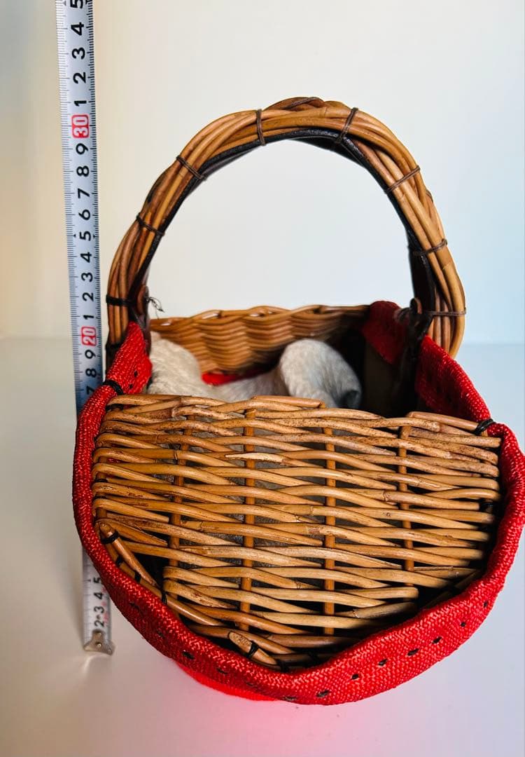 美品【エバゴスebagos】カゴバッグ赤