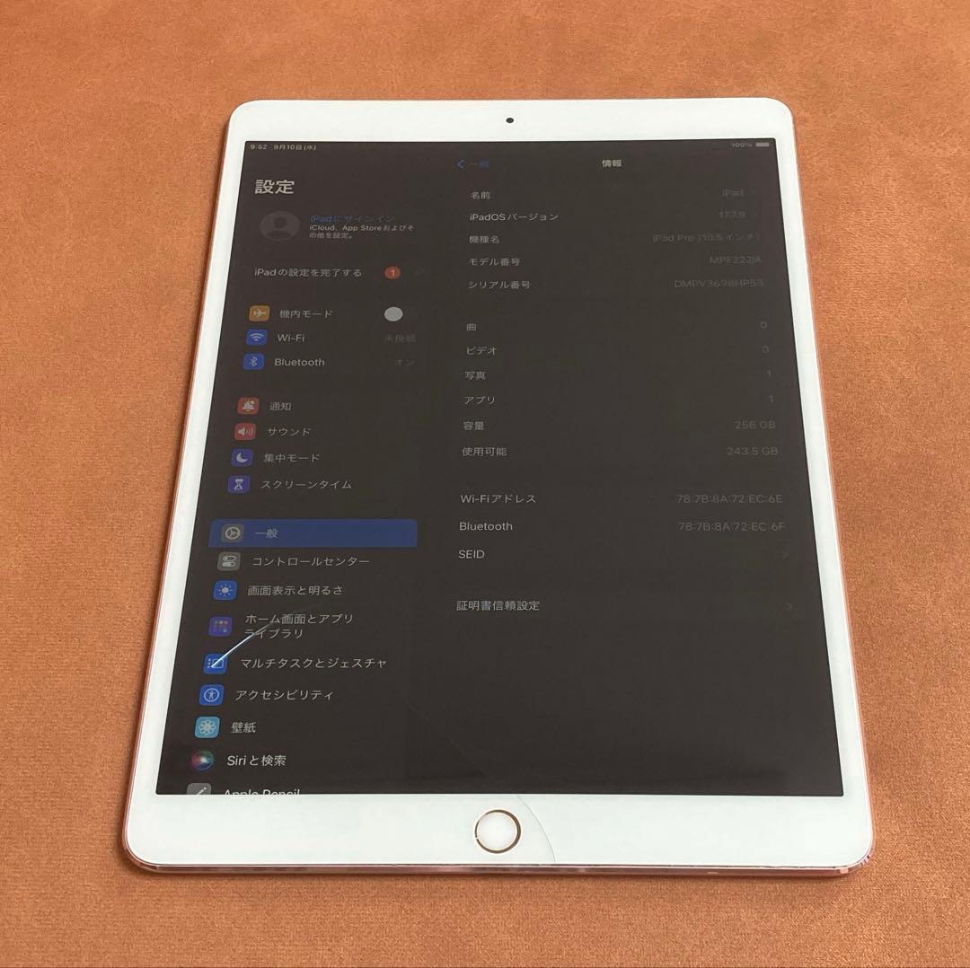 246電池ほぼ新品☆iPad Pro 256GB 10.5インチ WIFIモデル