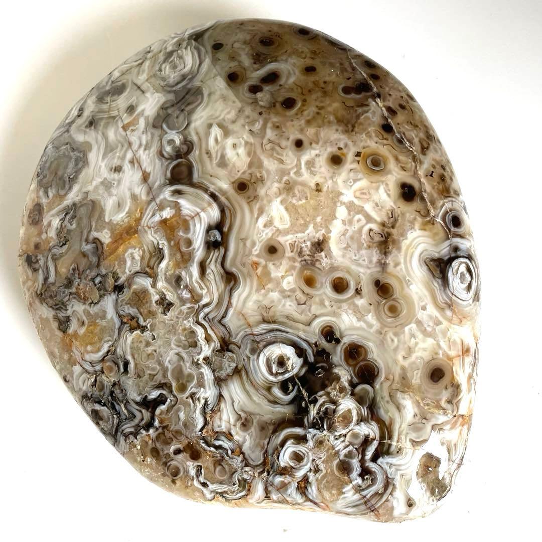 【デカい‼️】オーシャンジャスパー or ツリテラアゲート21㎝×26㎝×6㎝