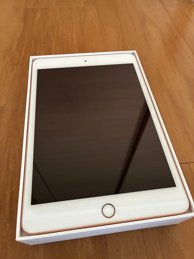 iPad mini 256GB セルラーモデル + Appleペンシル