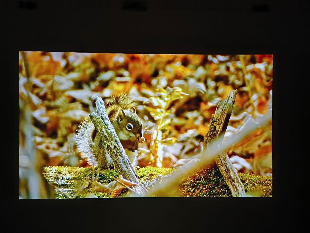 液晶プロジェクター EPSON dreamio EH-TW4000