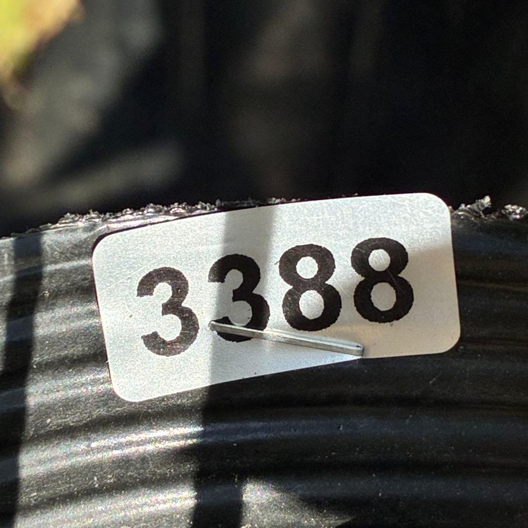 も*子様 ☘️限定1株☘️直筆タグ付☘️蕾付☘️大株☘️3388⭐️WM原生地採