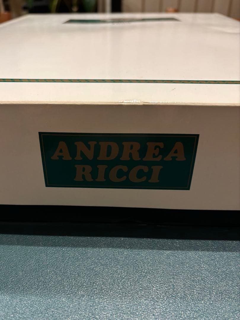 ANDREA RICCI シルク毛布　シルク100% 新品、未使用