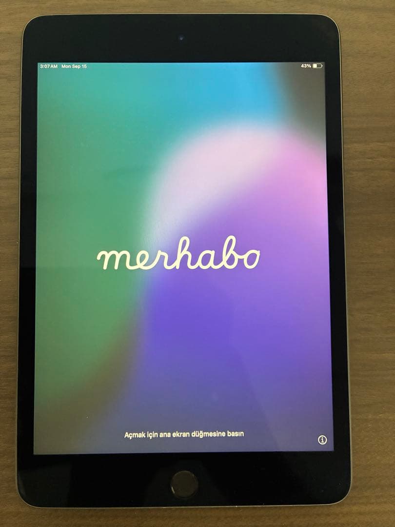 Apple iPad mini 第5世代 本体 最大容量90% 出品明日の朝まで