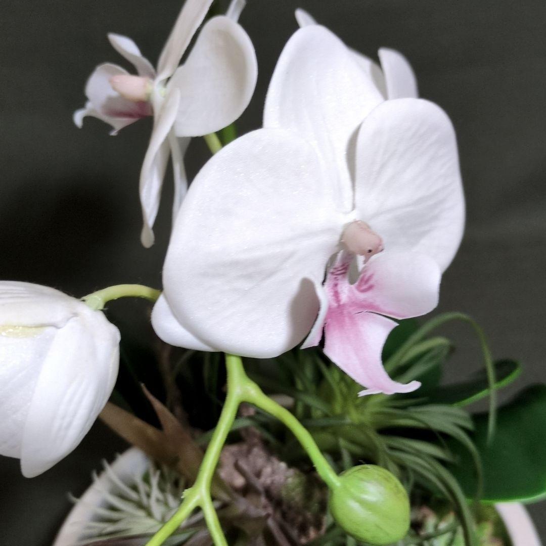 エミリオ•ロバ　胡蝶蘭 造花 フラワーアーティフィシャル　ファレノプシス