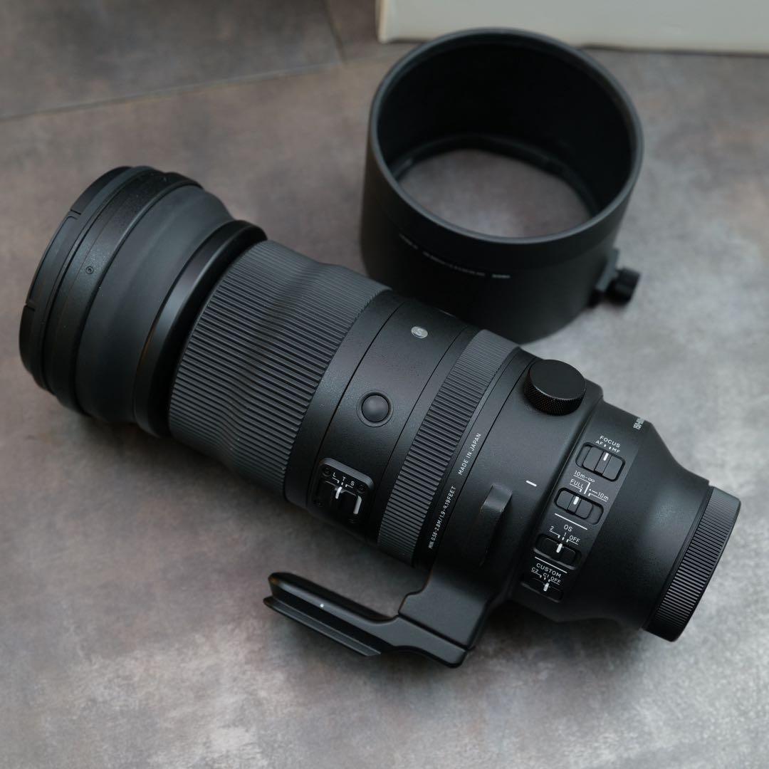 SIGMA 150-600mm f5-6.3 DG DN OS Lマウント用