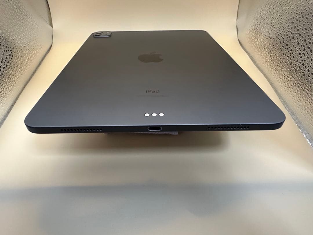 Apple iPad Pro (第2世代)11インチ +Apple Pencil