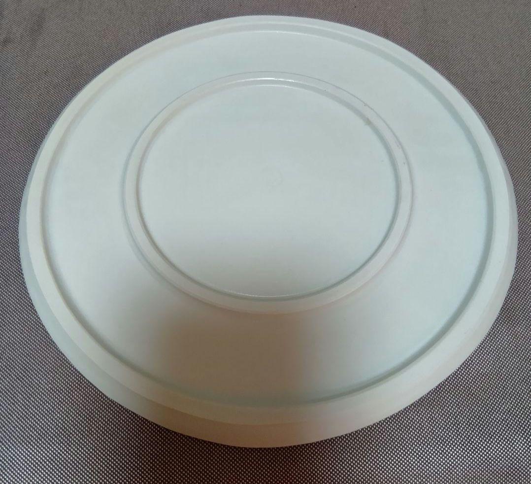 新品未使用　角井理愛さんのボタニカルシリーズ葉模様のホワイト皿