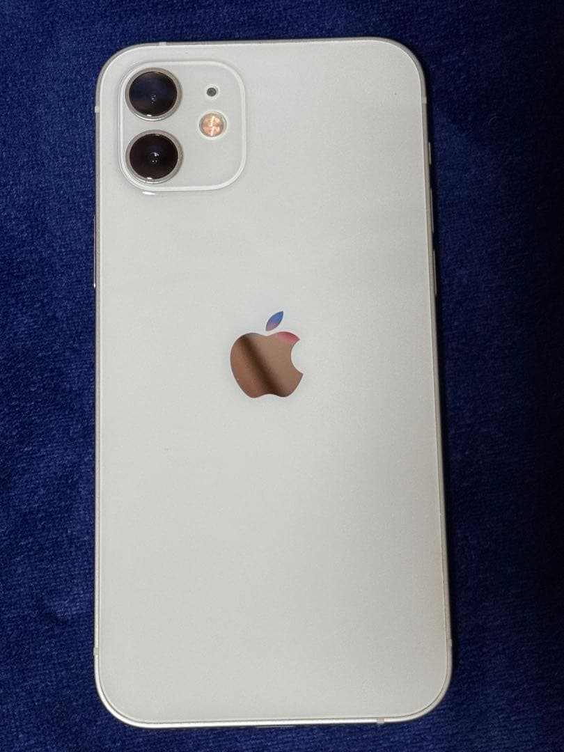 Apple iPhone 12 本体 ミントグリーン