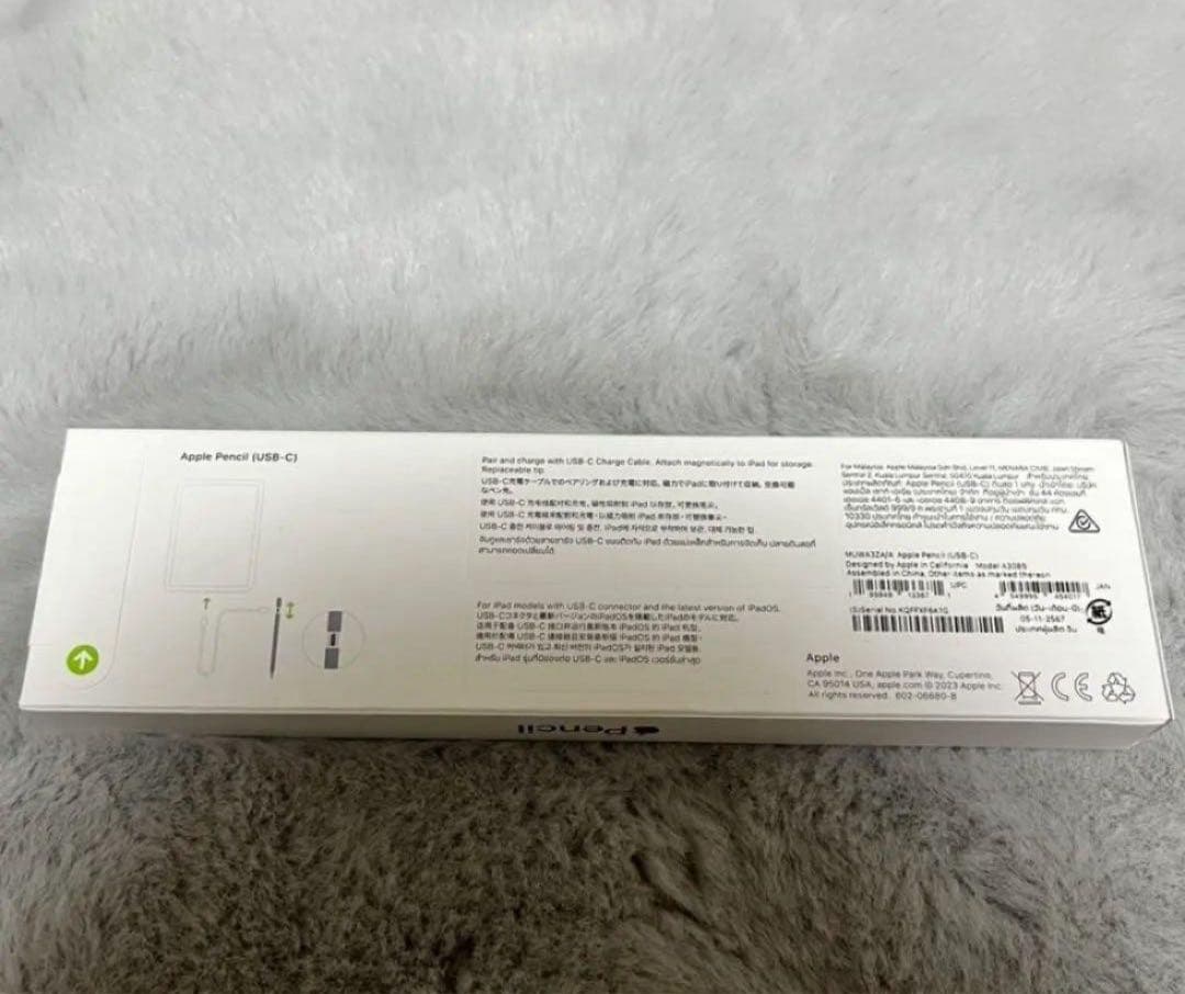 iPad Mini 第7世代 Apple Pencil (USB-C) セット