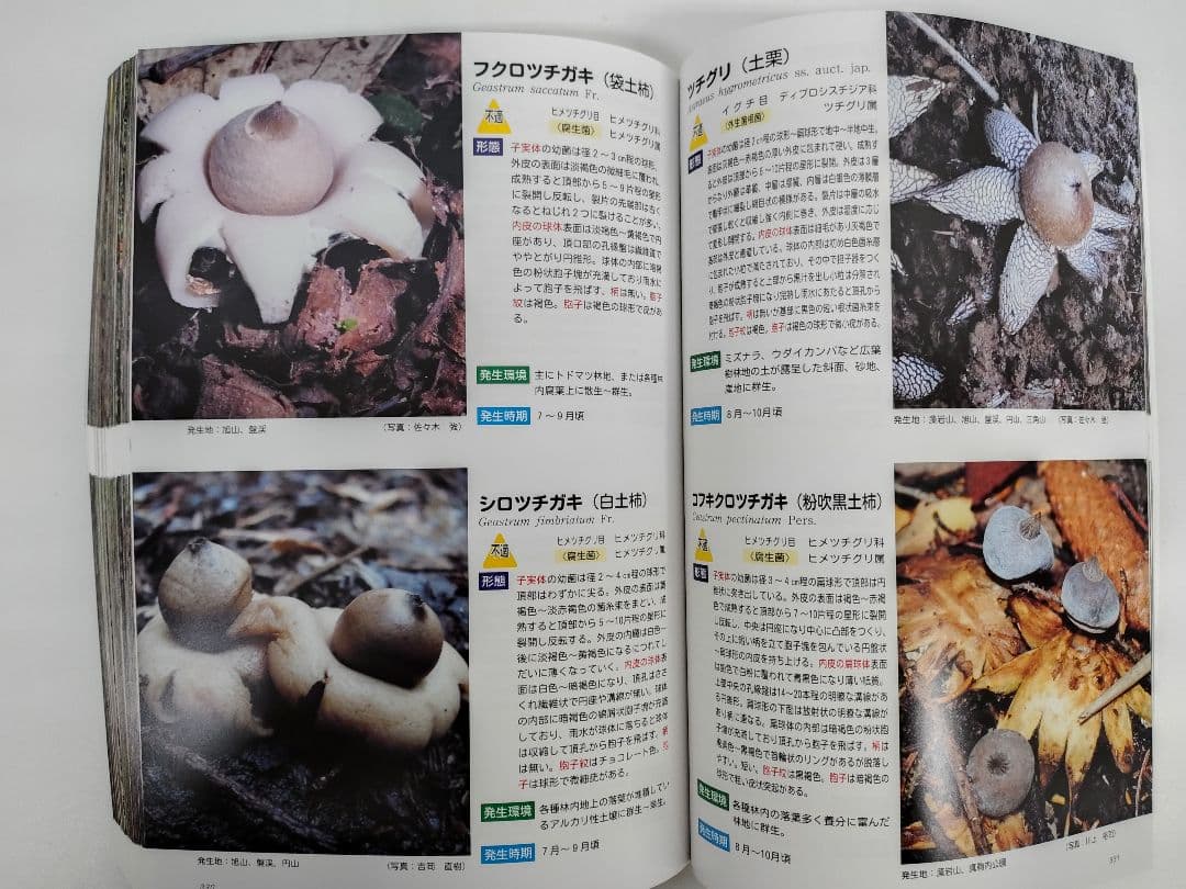 『藻岩山の森林と関わるきのこたち＆札幌近郊林のきのこ』大型本 完売本 稀覯本