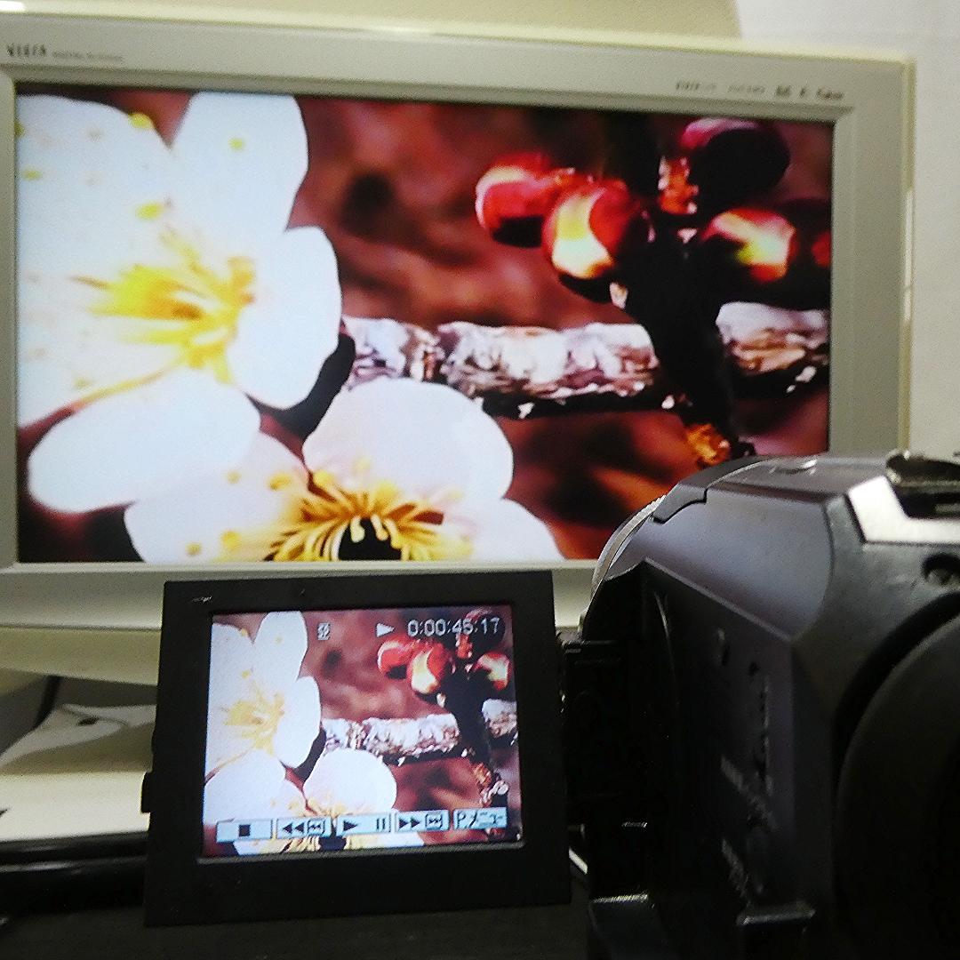 動作品 ソニーDCR-PC300 MiniDV ビデオカメラ DVDダビングに