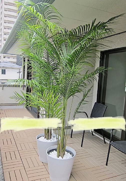 光触媒　人工観葉植物　ウォールグリーン　フェイクグリーン　アレカヤシ@gp