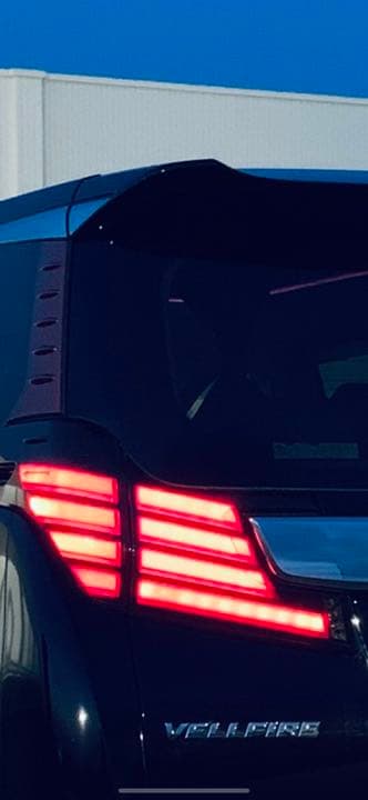 ダズフェローズ　 30ヴェルファイア 前期