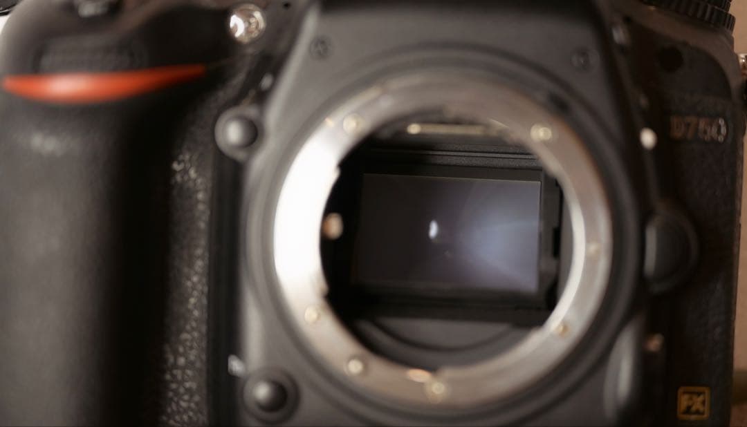 ■ ショット数18,502回 ■ Nikon D750 ボディ