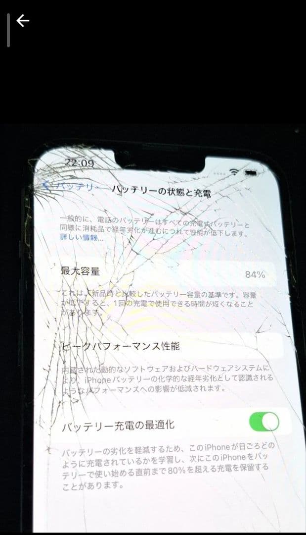 iPhone13 Pro Max 256GB シエラブルー