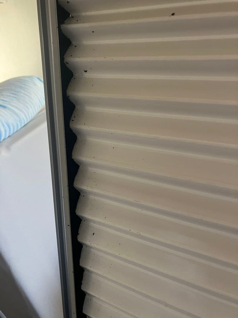 送料無料 コロナ CW-F1619 窓用エアコン 2019年製