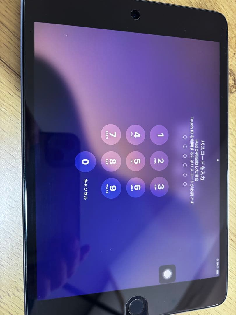 iPad mini 第五世代　64GB SIMフリー　Wi-Fi セルラー