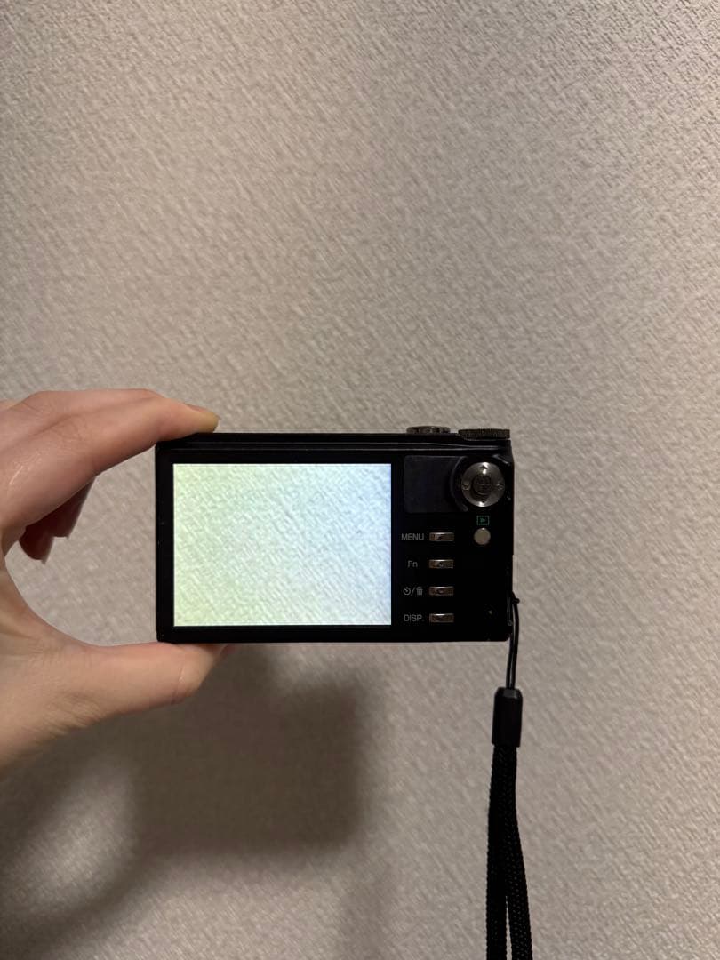 【動作確認済み】Ricoh CX2 黒デジタルカメラ