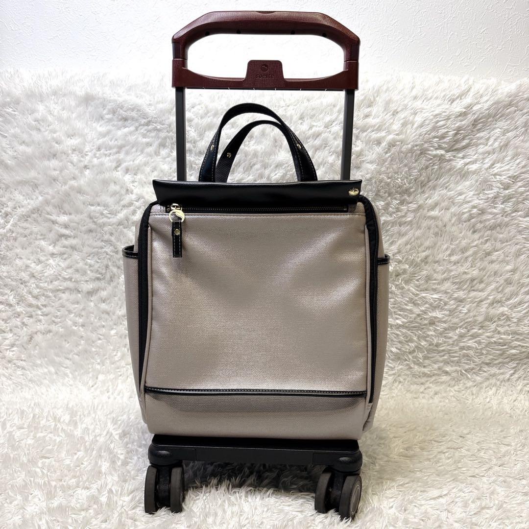 ソエルテ キャリーバッグ ソフト カランド 12L S 55794 ベージュ