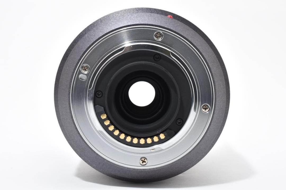 パナソニック G VARIO 45-200mm F4-5.6 #21427