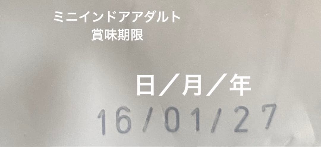  CANIN ミニインドアパピー　ミニインドアアダルト