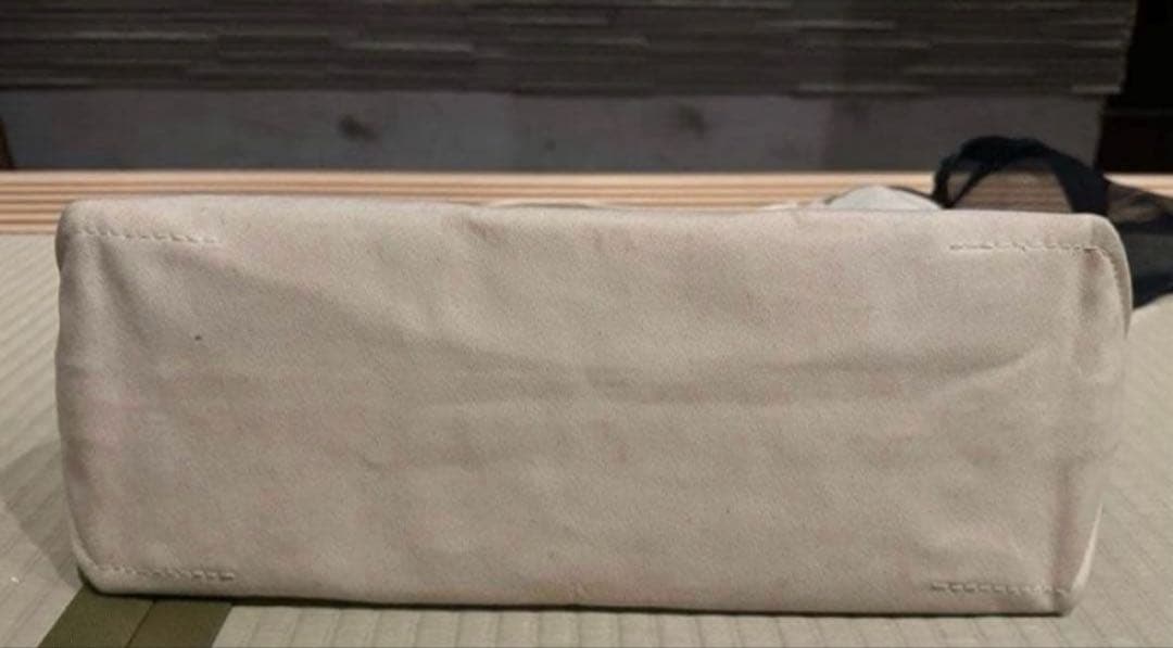 テンベア★犬猫★キャリーバッグ★ショルダー★飛び出し防止付き★TEMBEA★美品