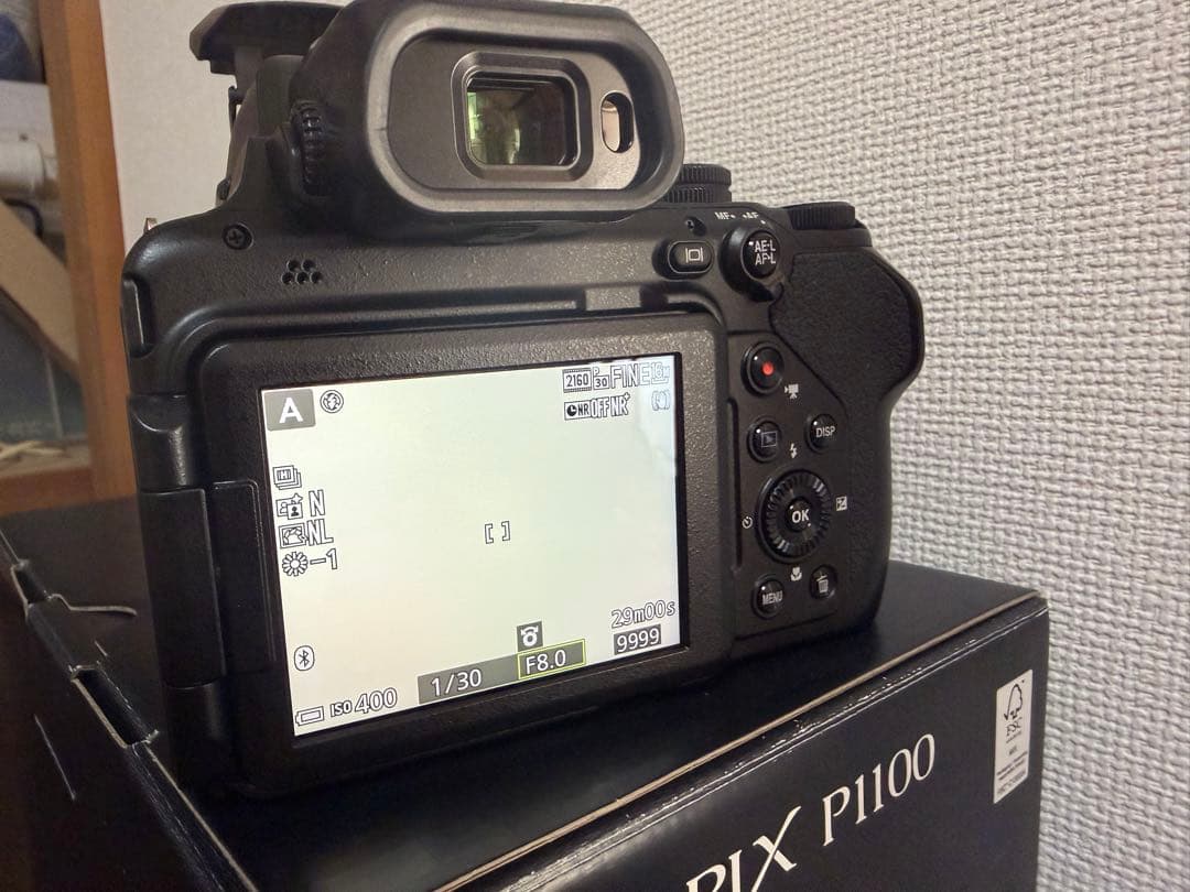 Nikon P1100 デジタルカメラ おまけ付き ニコンダイレクトで購入