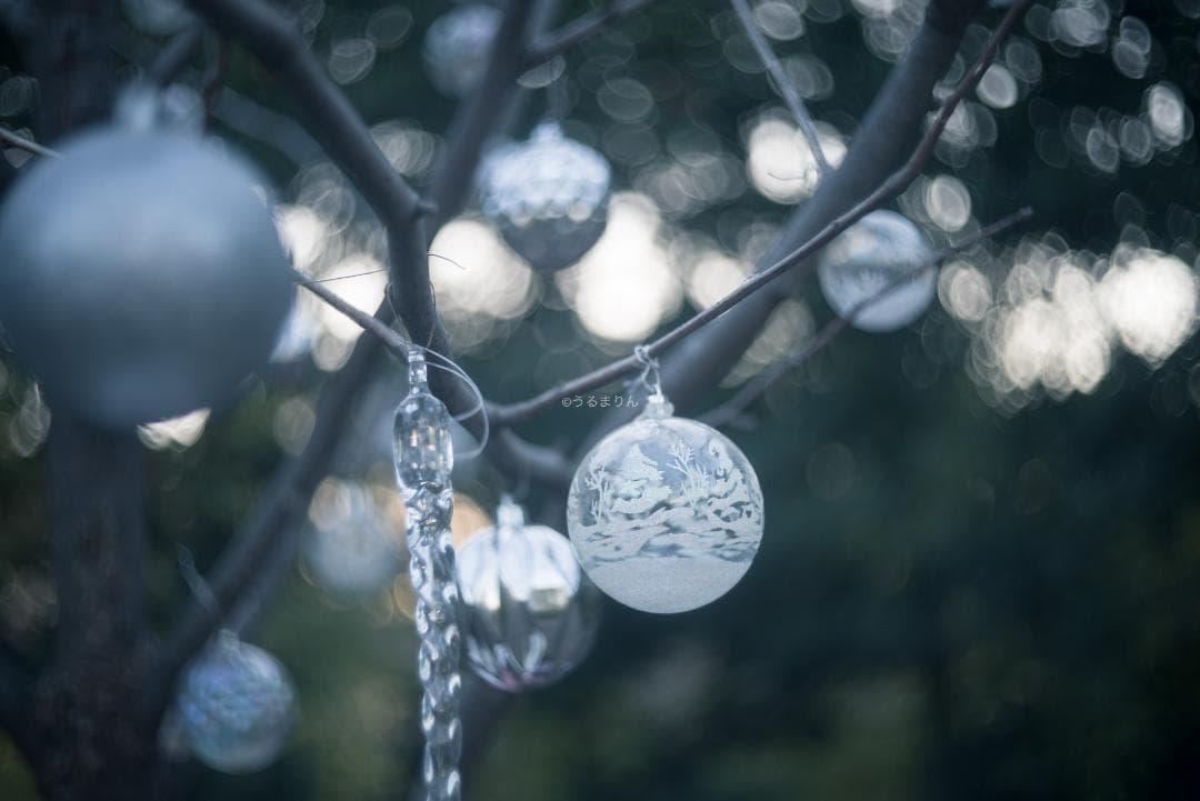 虹の出る癖玉！Leica Summar 50mm f2 オールドレンズ
