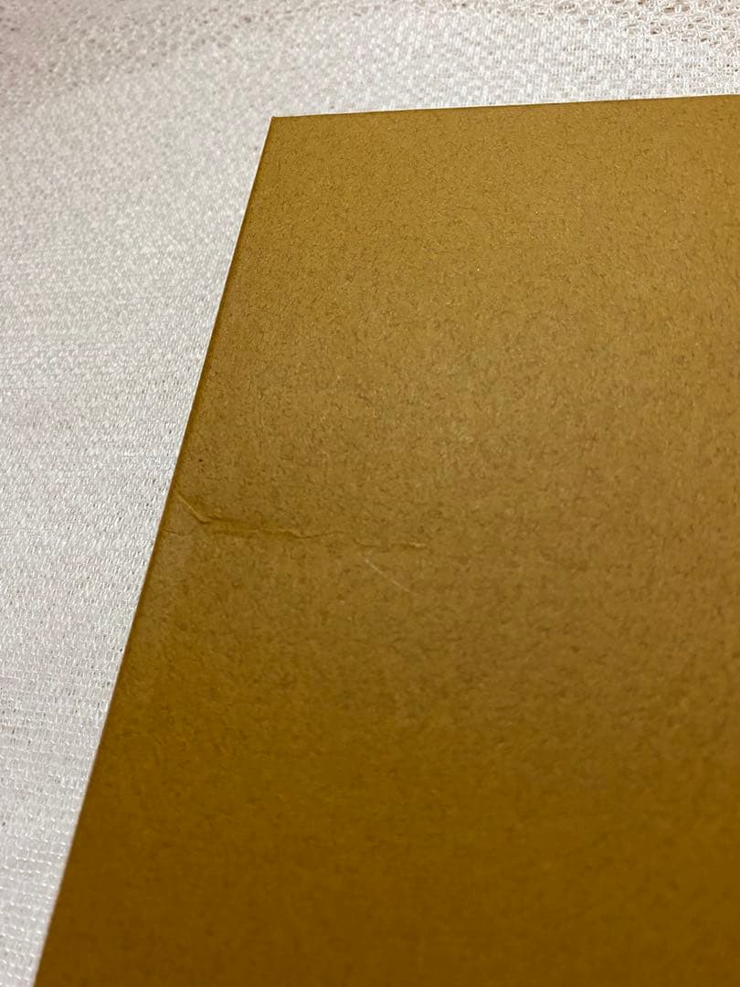 新品未使用★ミナペルホネン　タンバリン　トレイ　brown 白樺＊菱形　レア希少