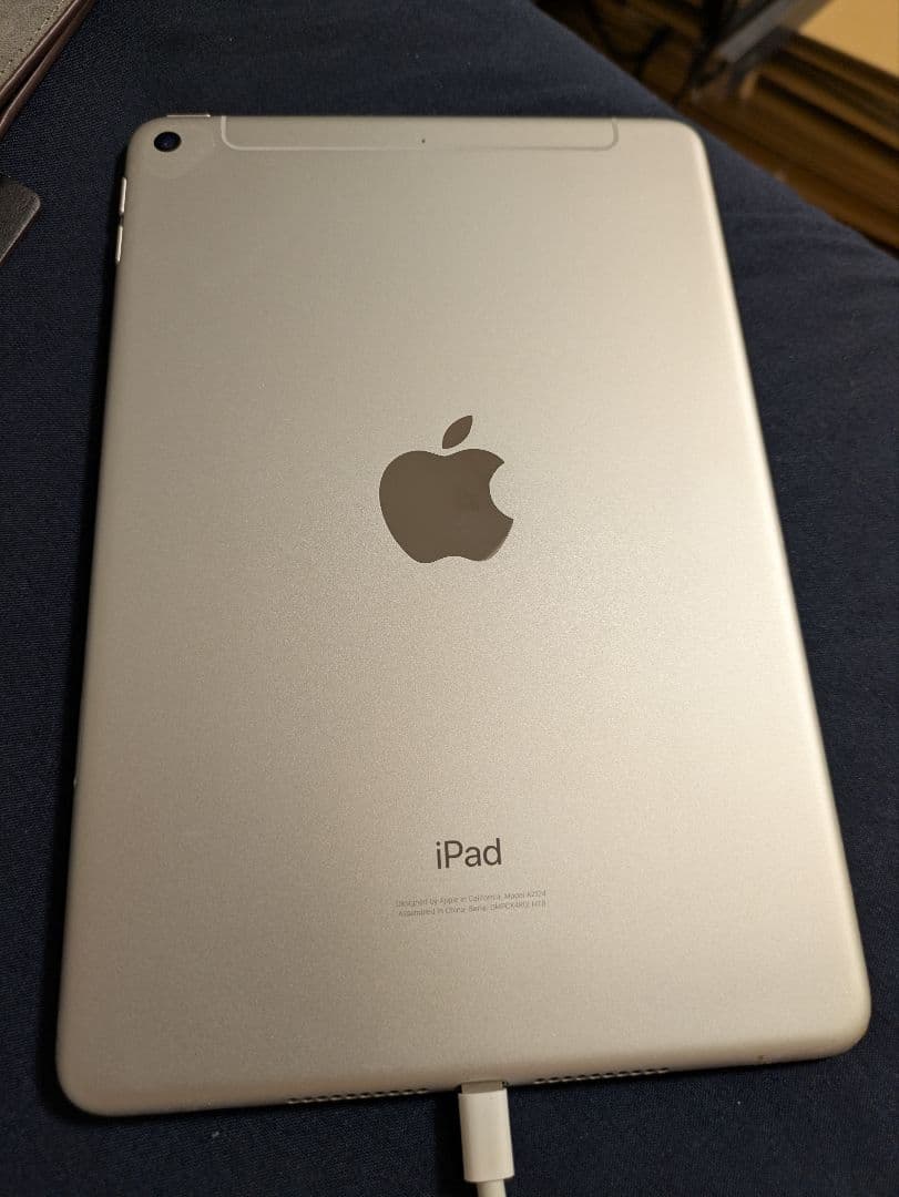 iPad本体 ipadmini5 64GB