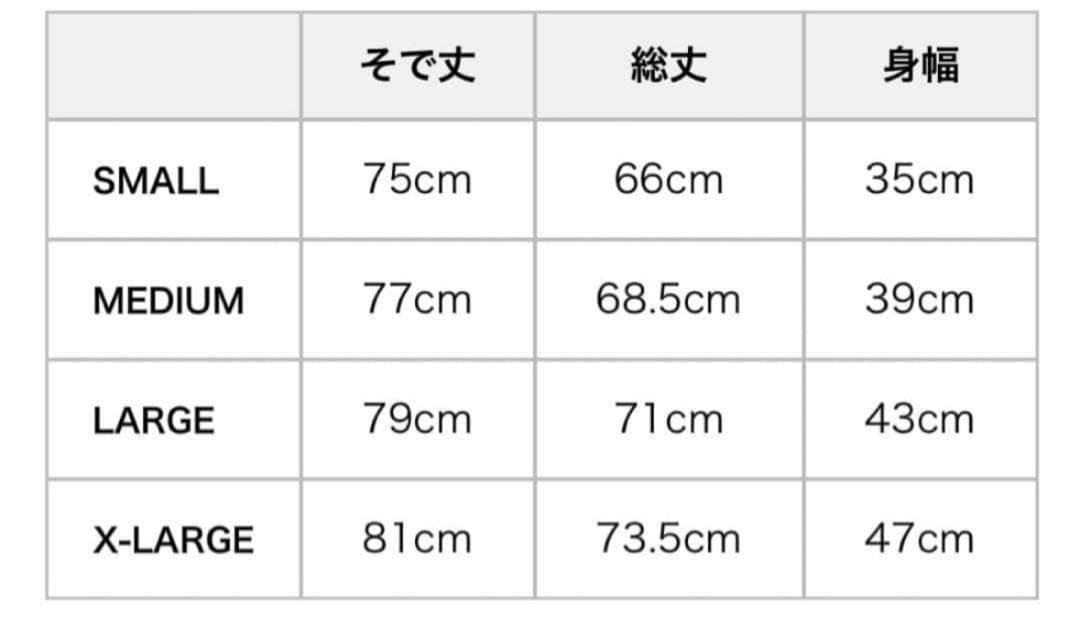 【新品・未使用！】　ヒステリックグラマー　Lサイズ