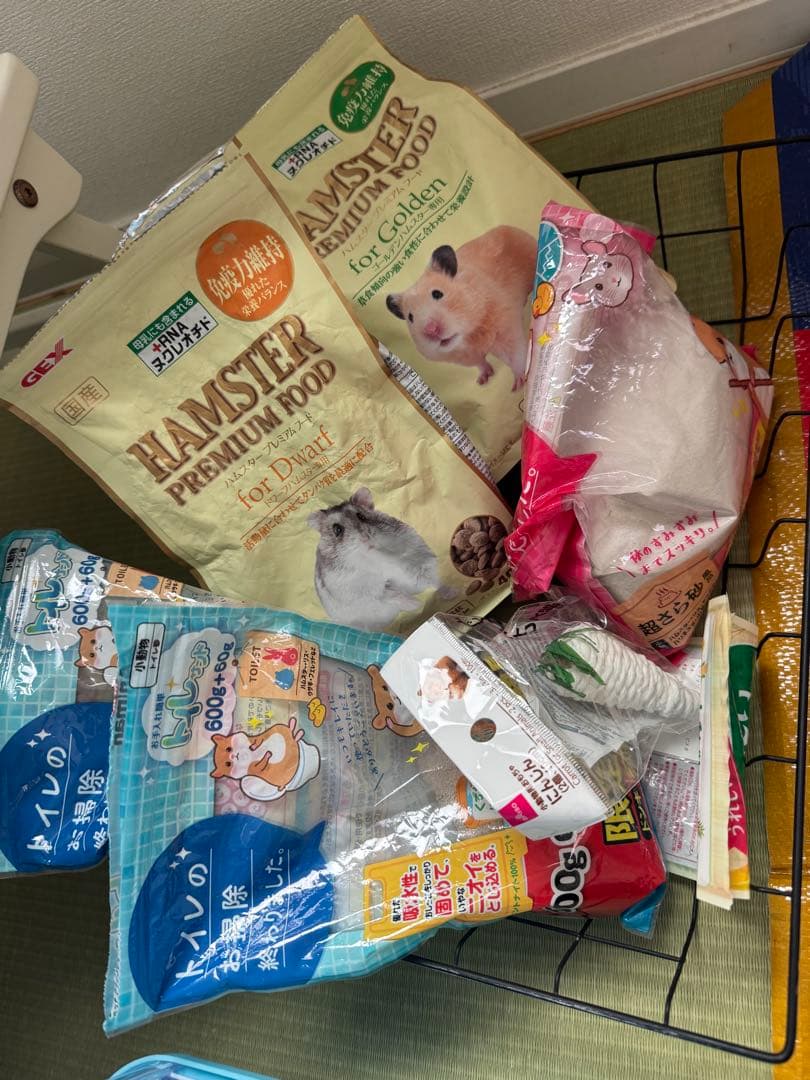 ハムスター２匹すぐ迎えられるセット