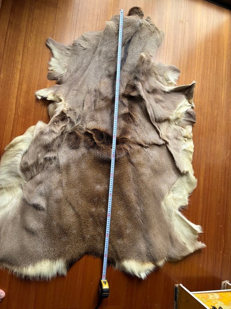 北海道産　鹿　毛皮　ラグ　マット　140×120 値下げ交渉あり