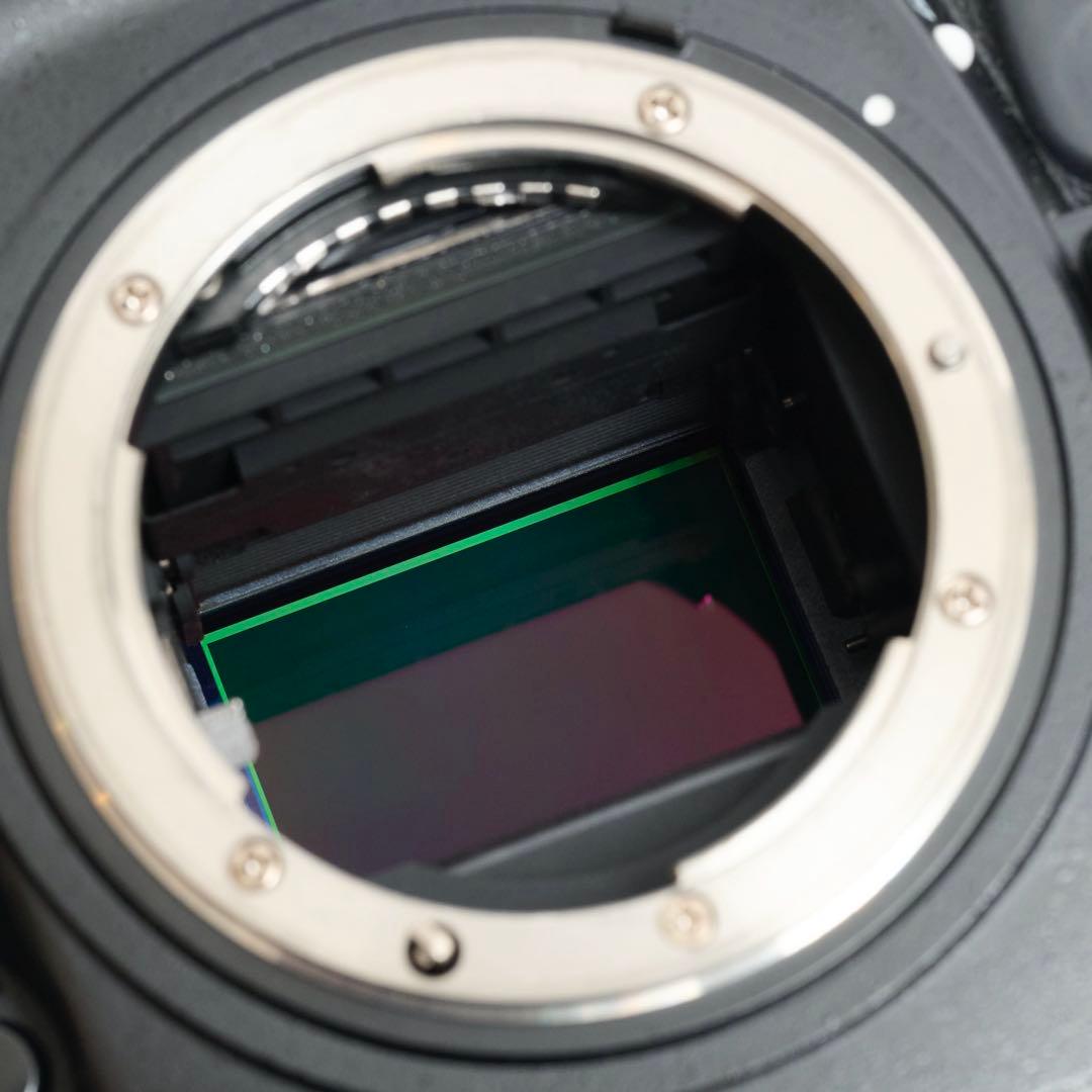 Nikon D810 デジタル一眼レフカメラ