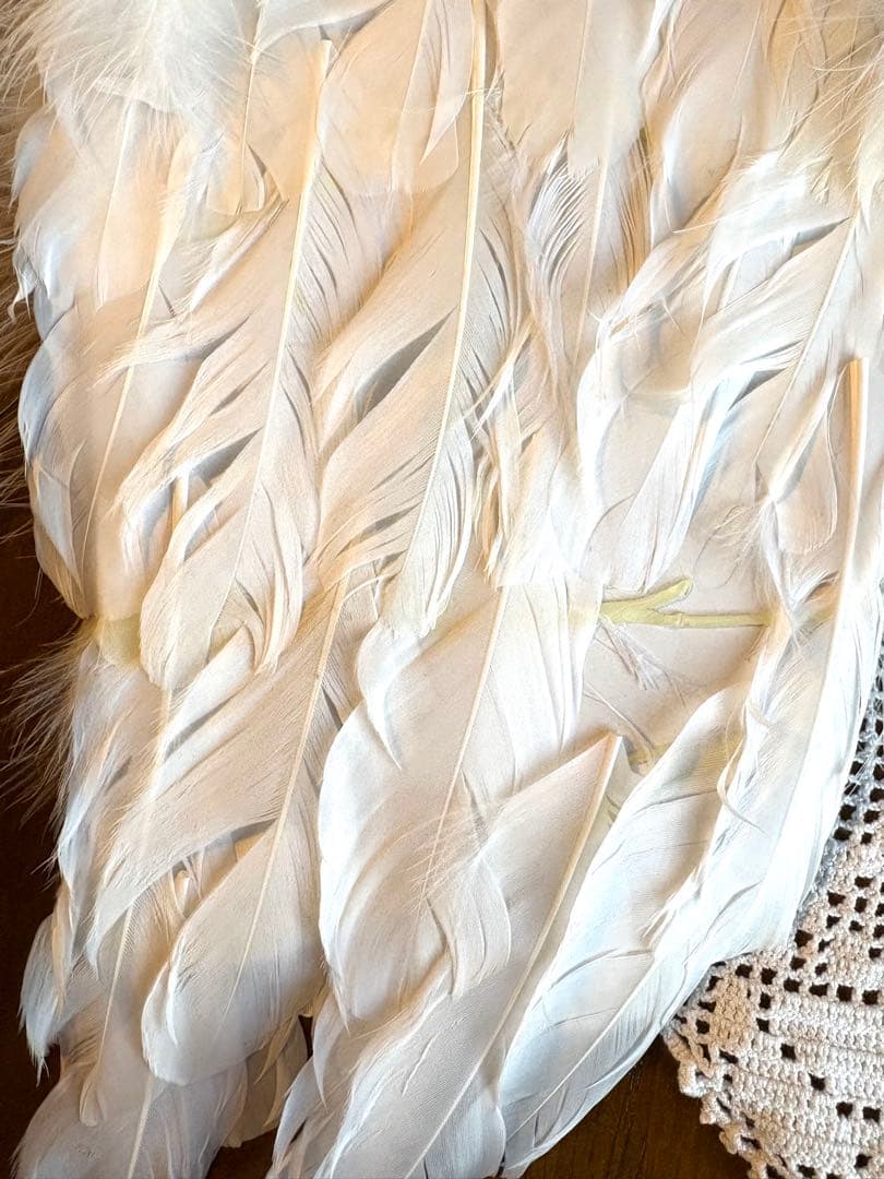 ♡ ベルギーアンティーク　エンジェルウィング　天使の羽　スモールサイズ　マヌカン