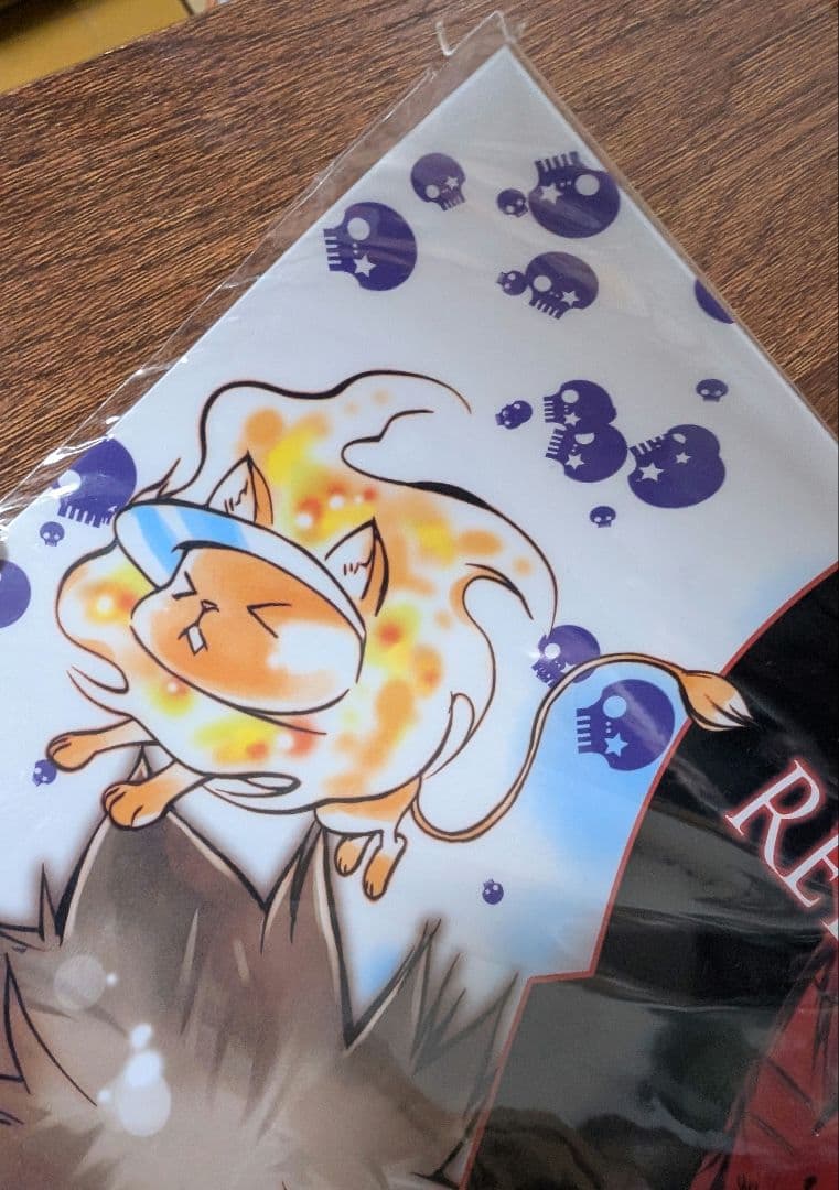 CF2011 限定 A3クリアポスター 家庭教師ヒットマンREBORN 沢田綱吉