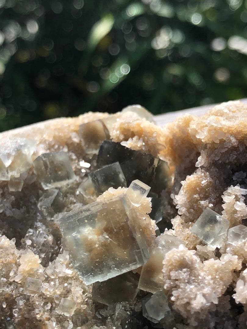 レア　単晶体　水晶共生　綺麗グリーン　　シャンファーリン フローライト