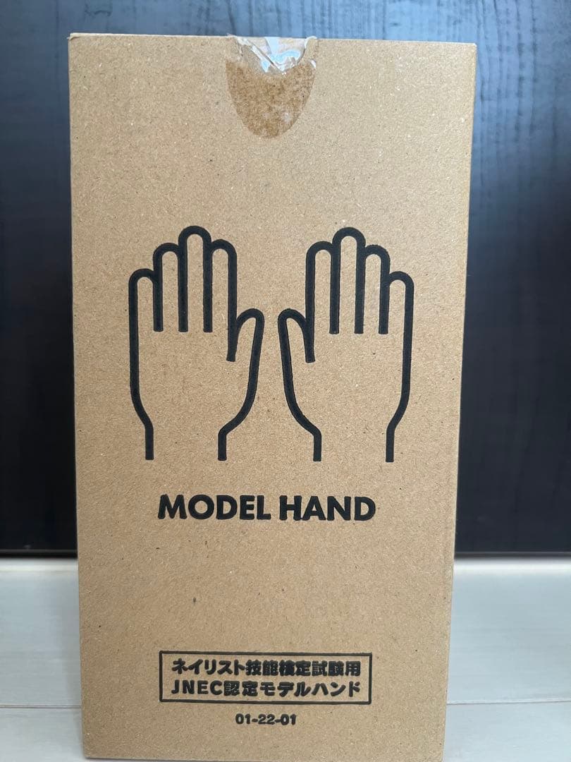 ネイルアート用モデルハンド2本セットとチップ