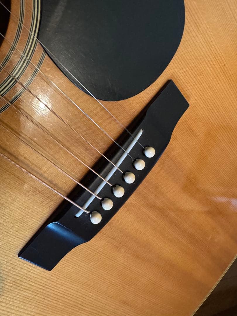 tokai catseyes ce-200　アコースティックギター