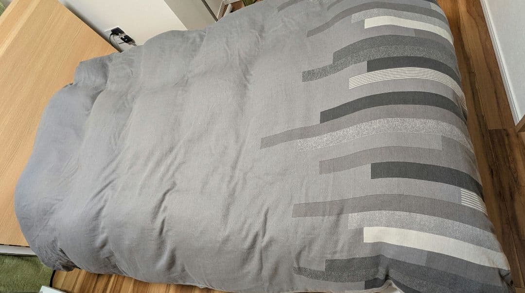 NITORI　羽毛掛け布団　掛け布団カバー付き シングルサイズ