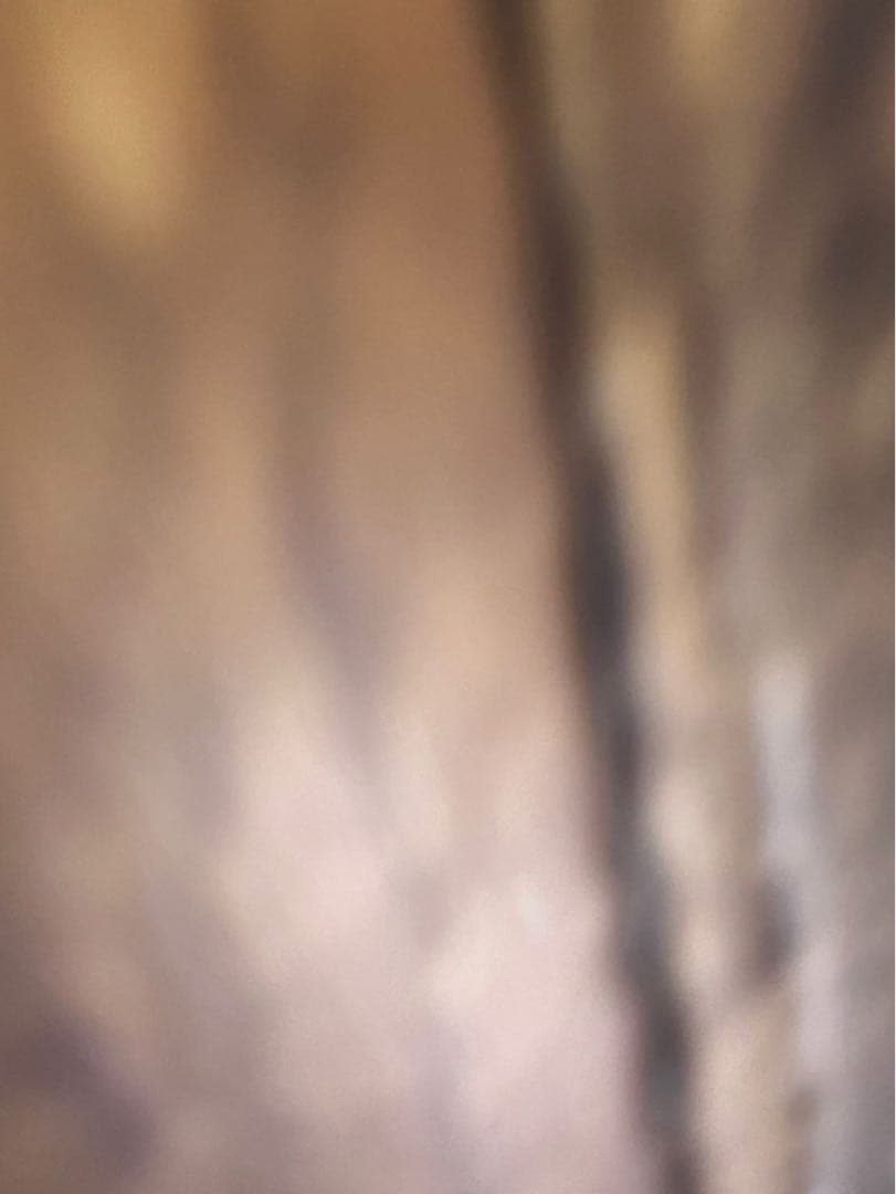 美品　ペダルペール インテリア ごみ箱 昭和レトロ レトロポップ 花柄