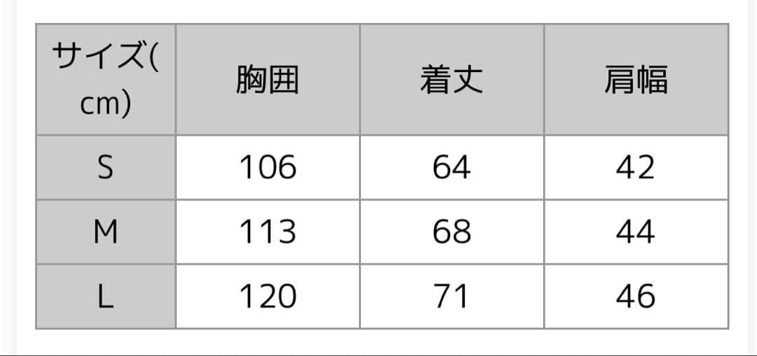 未使用パタゴニア　Patagonia フリースベスト　L